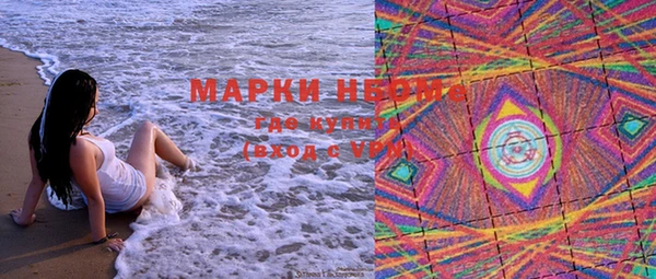 шишки Абинск