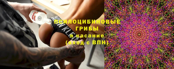 шишки Абинск