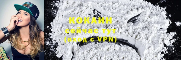 шишки Абинск