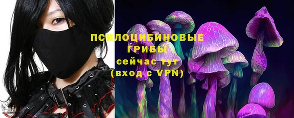 кокс Абаза